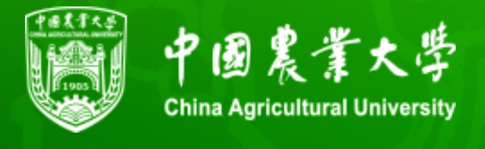 成功案例