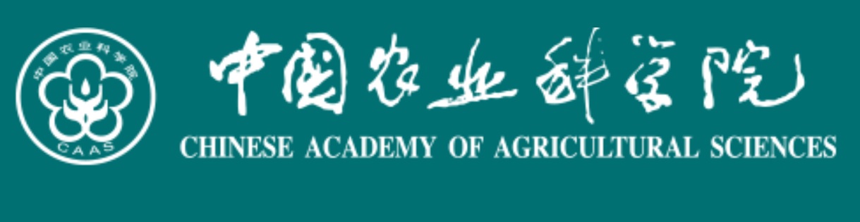 审计服务