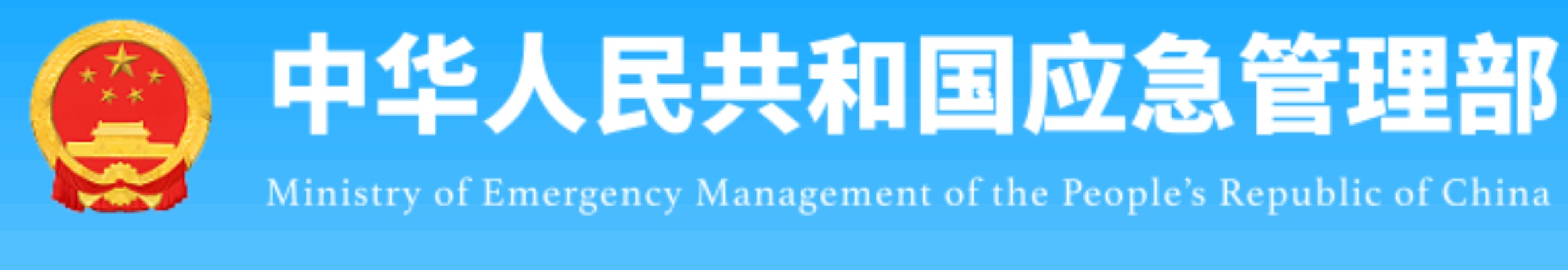 专项审计服务