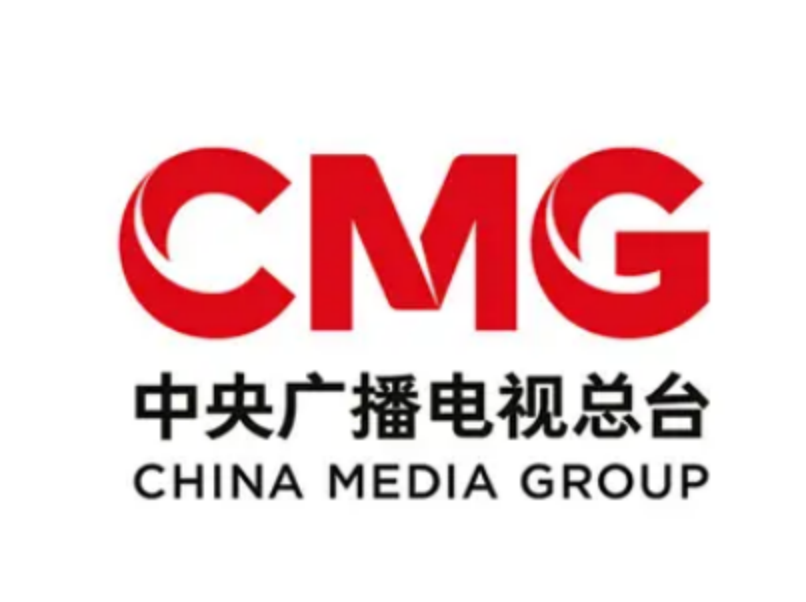 中央广播电视总台  专项审计